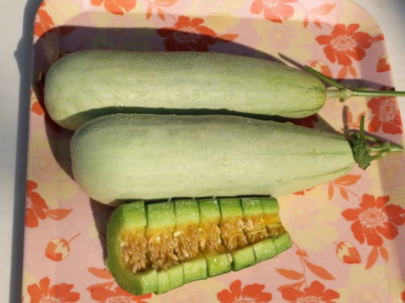 六一甜瓜，羊角蜜甜瓜