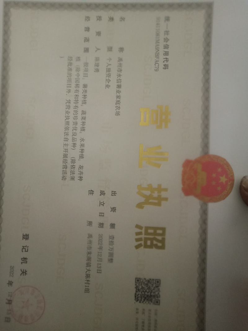 禹州市永信薯业育苗基地