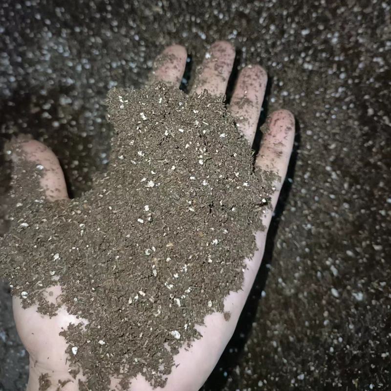 广东厂家直发育苗基质瓜果蔬菜辣椒等专用育苗基质