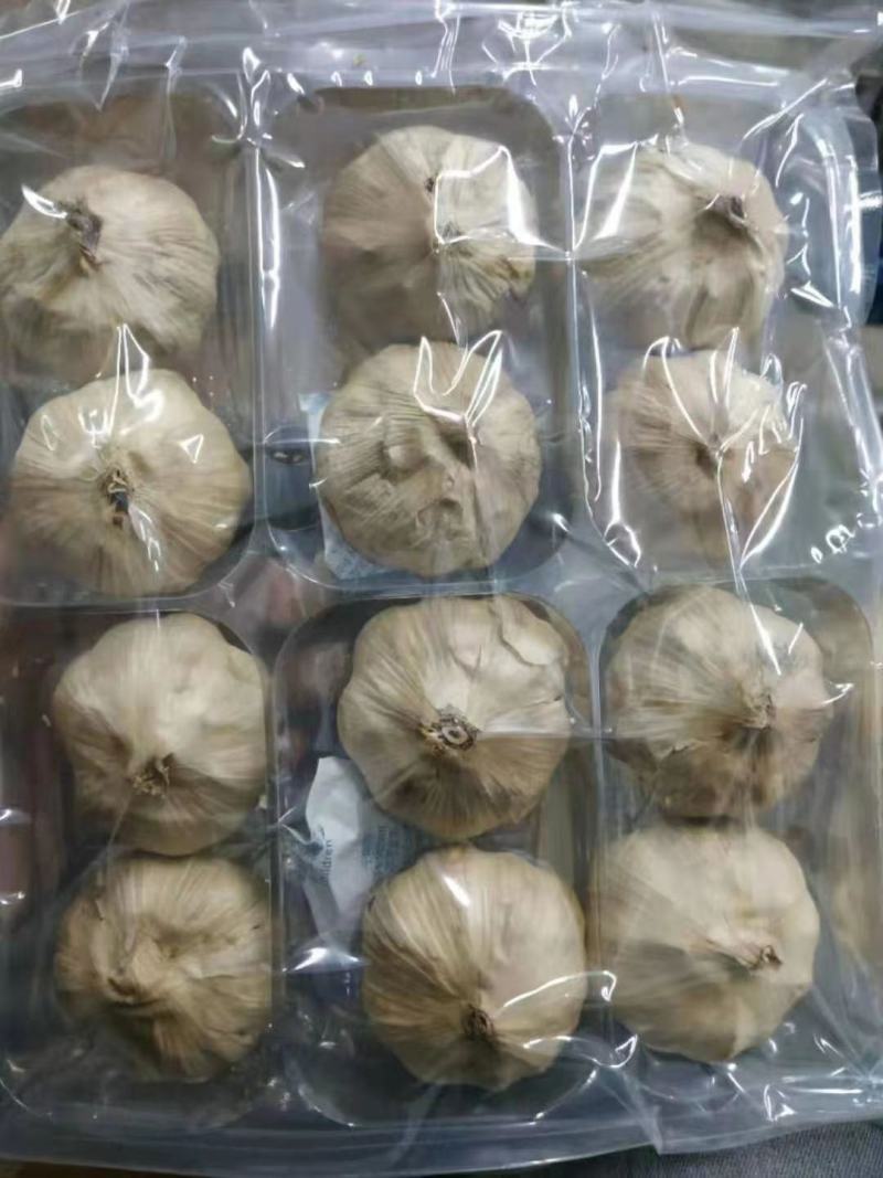 酸甜黑蒜多瓣黑蒜厂家批发价格山东金乡大蒜特产供应