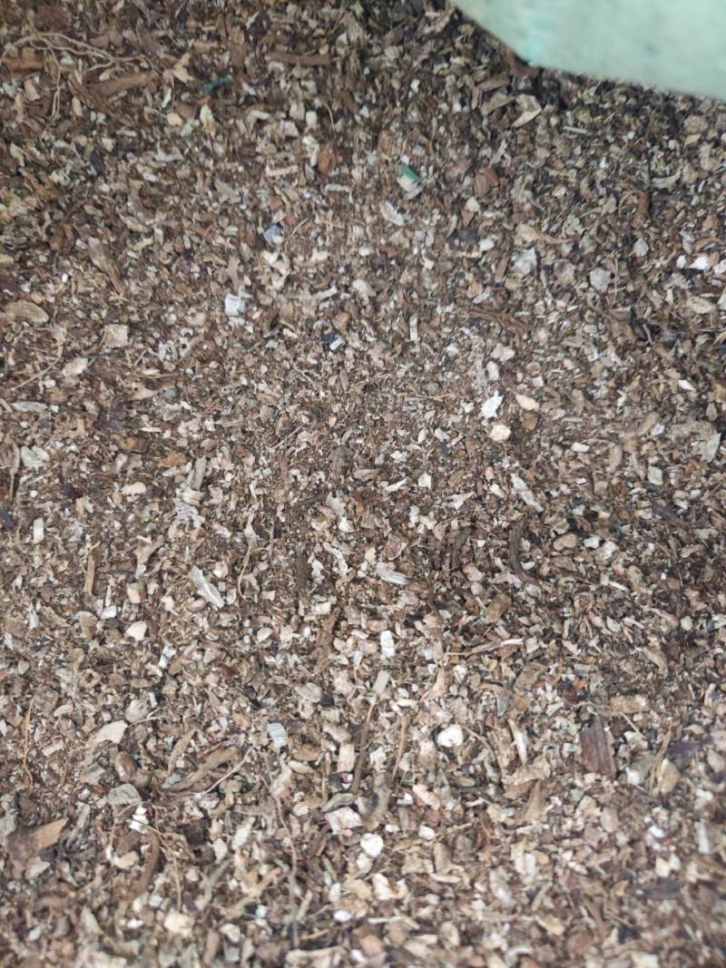 木香片，各种规格