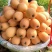 枇杷膏