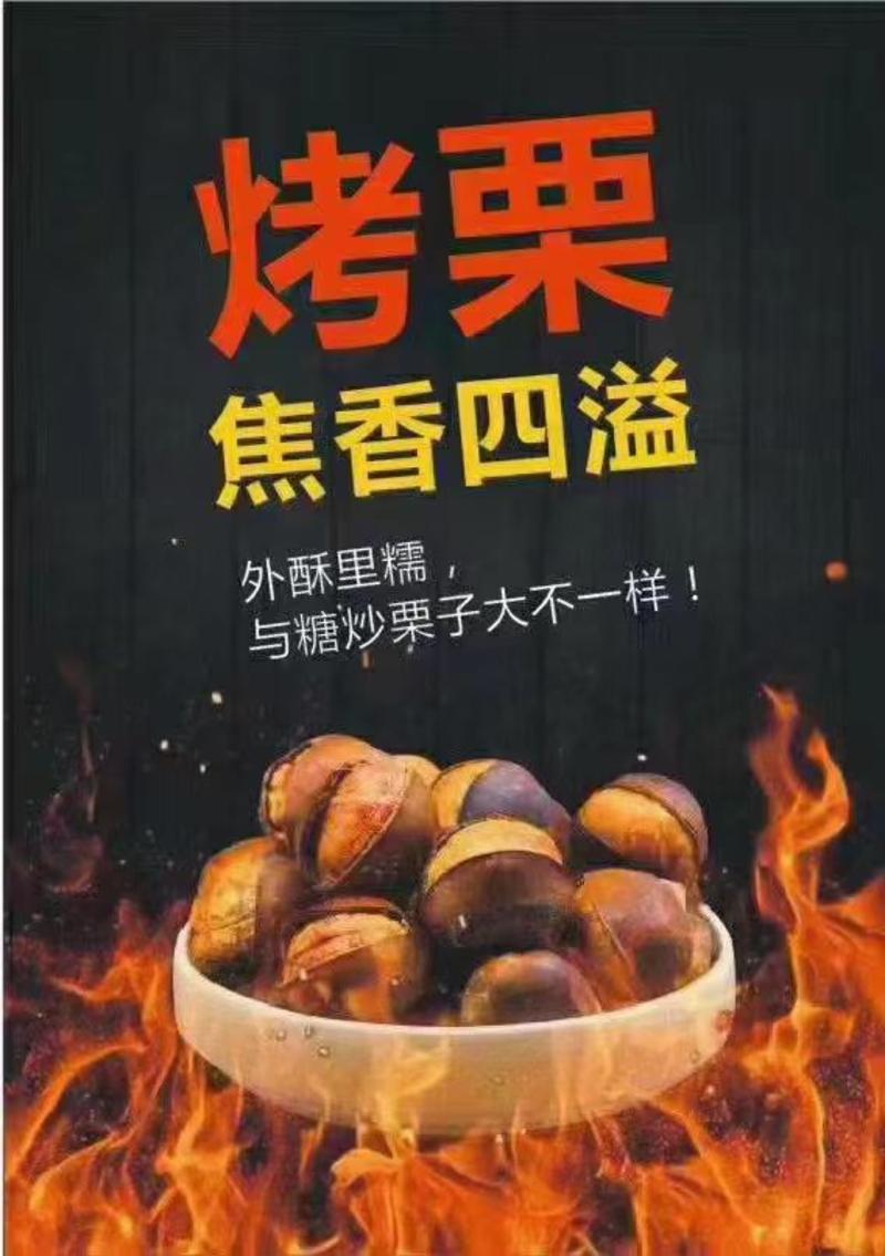 【冰栗厂家直销】23年迁西青龙新冰栗送展示柜以及烤栗技术
