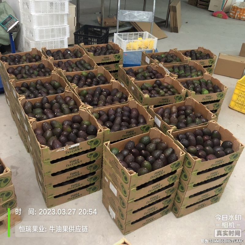 精品秘鲁即食牛油果