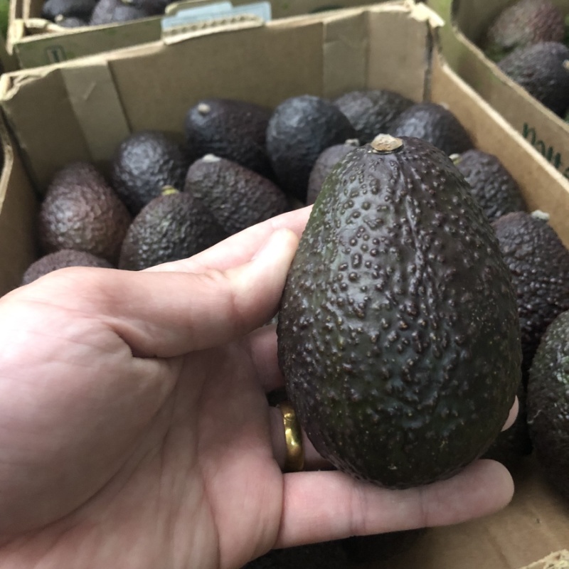 精品秘鲁即食牛油果