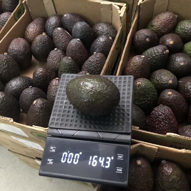 精品秘鲁即食牛油果