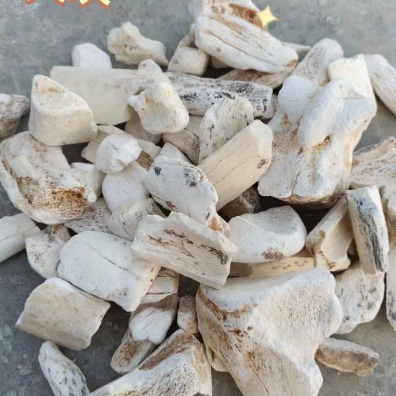 龙骨黄龙骨龙骨矿石生龙骨花龙骨矿石大全牡蛎