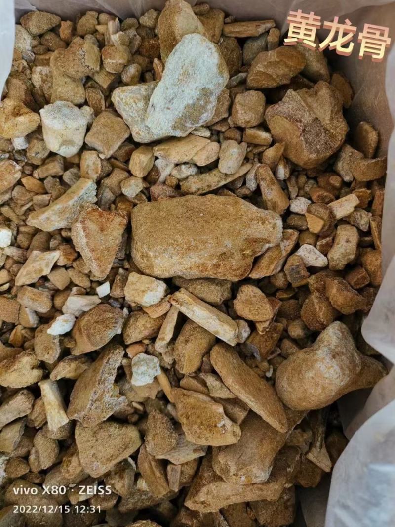龙骨黄龙骨龙骨矿石生龙骨花龙骨矿石大全牡蛎
