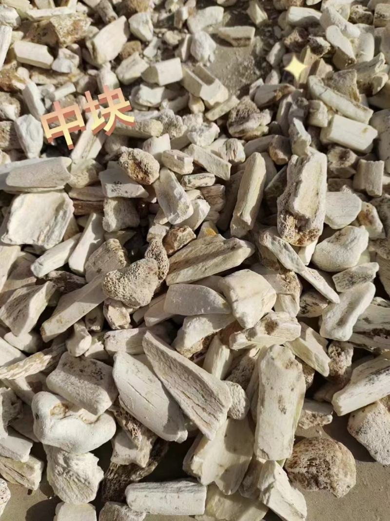 龙骨黄龙骨龙骨矿石生龙骨花龙骨矿石大全牡蛎