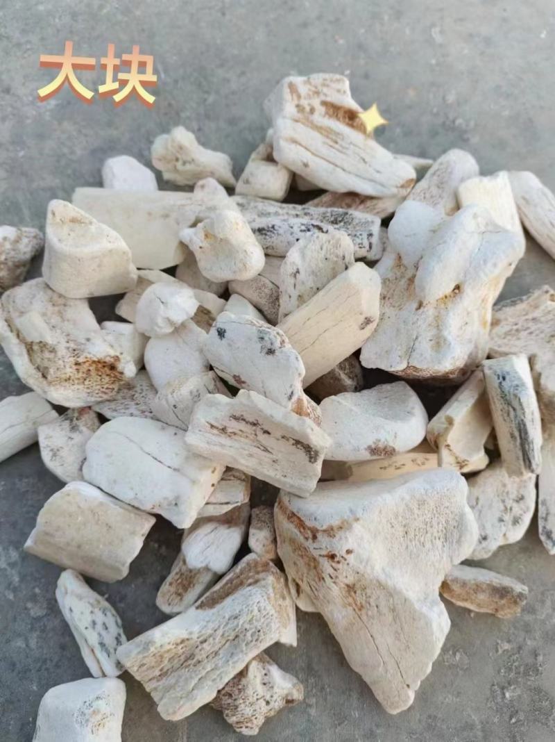 龙骨黄龙骨龙骨矿石生龙骨花龙骨矿石大全牡蛎