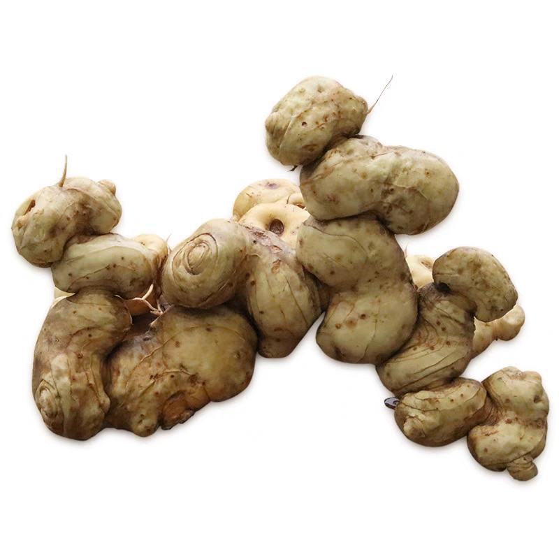 新鲜黄精