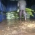低价出售各种规格油茶苗！湘林210，长林53号等系列