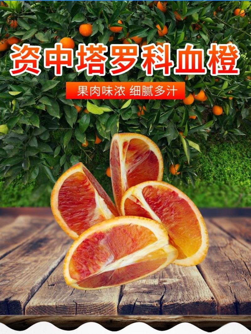 【精选】橙子血橙大量供应品质保证甜度高水分足