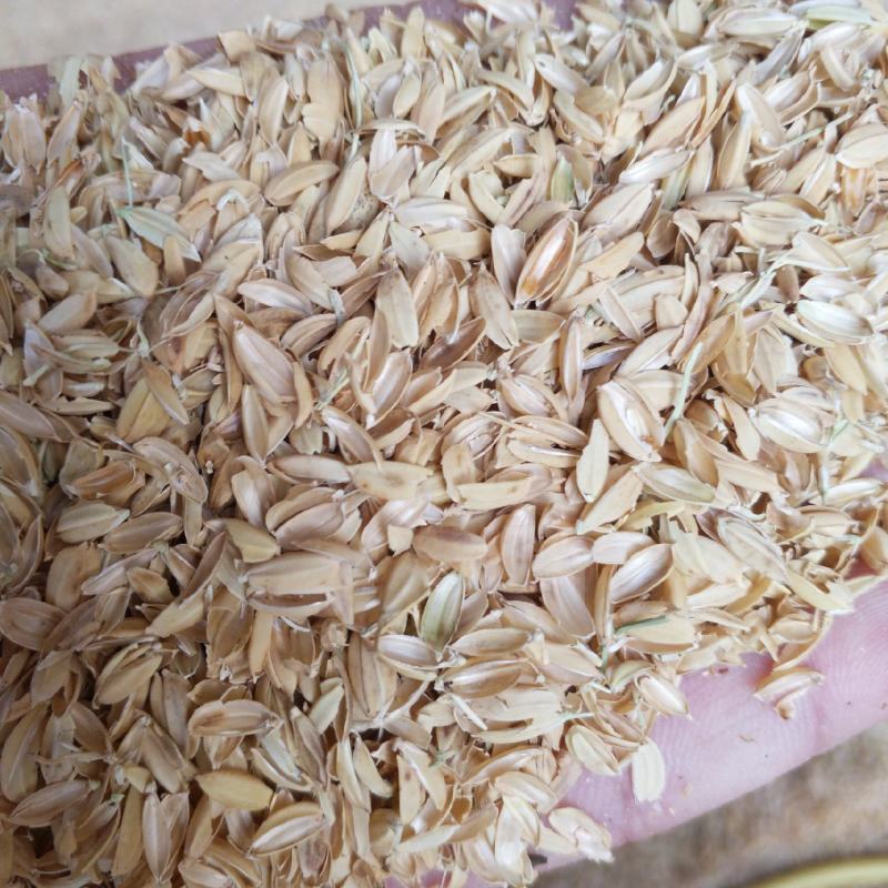 批发压缩稻壳养殖垫料大棚种植酿酒制醋绿化喷播