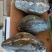 精品香芋南瓜大量上市，香味十足够粉，诚信经营有回头车