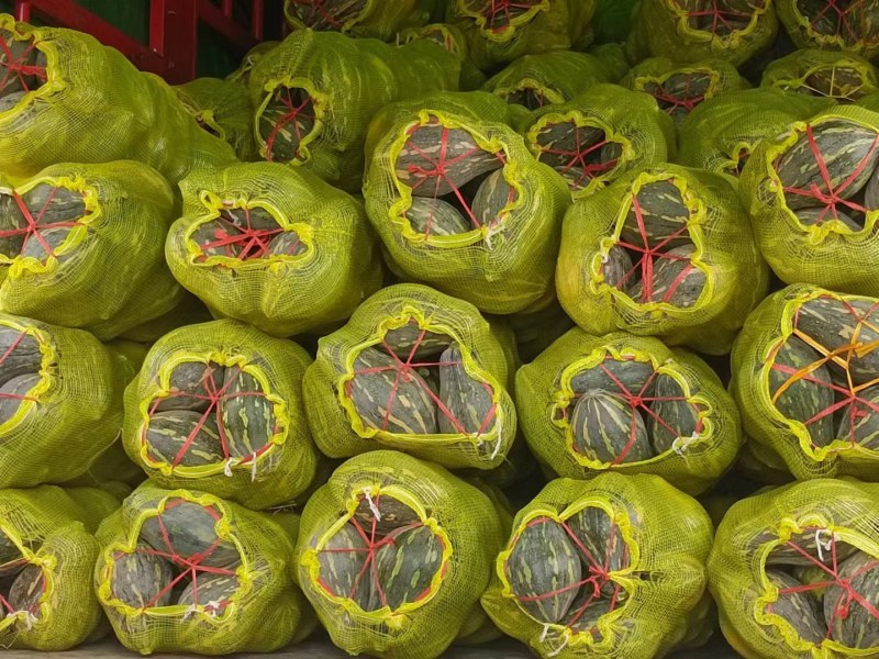 精品香芋南瓜大量上市，香味十足够粉，诚信经营有回头车