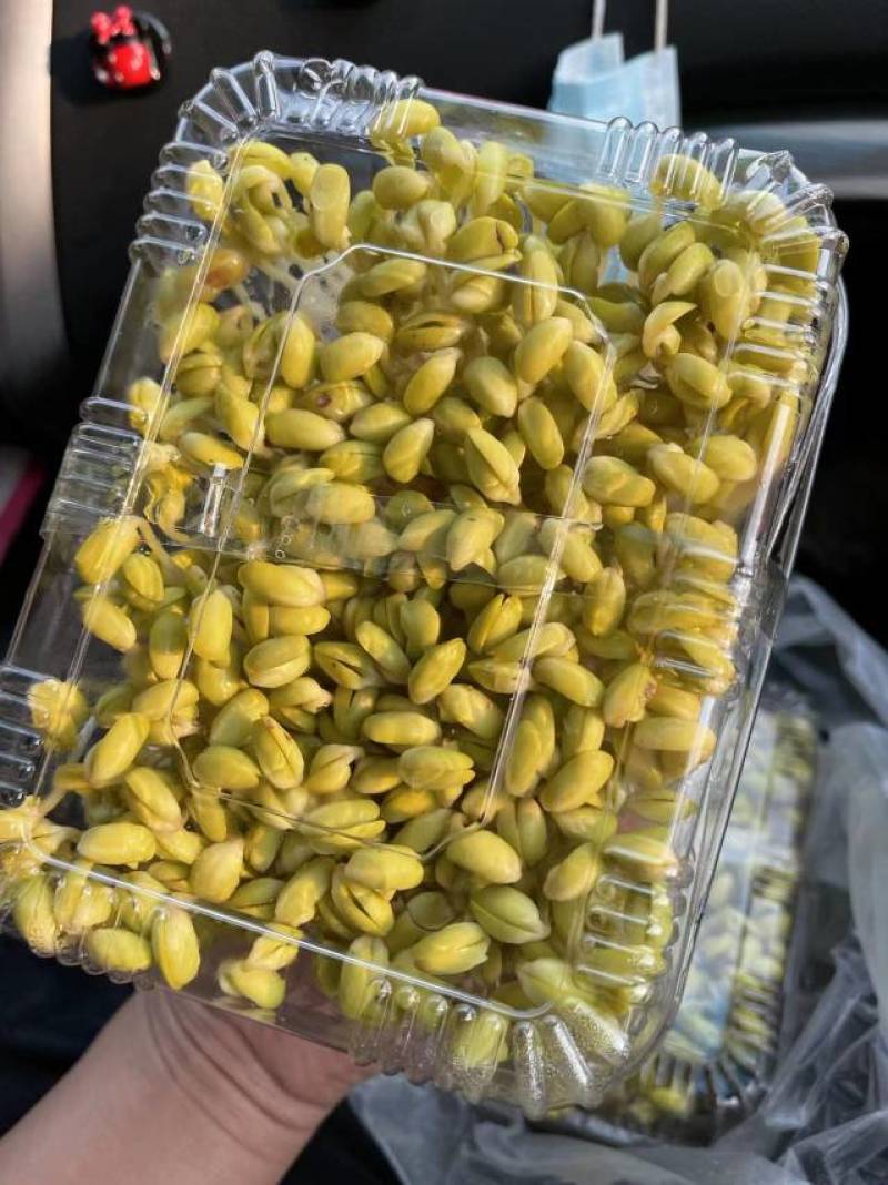 各种芽苗菜，豆苗常年稳定供应