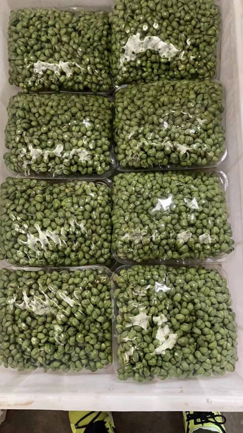 各种芽苗菜，豆苗常年稳定供应