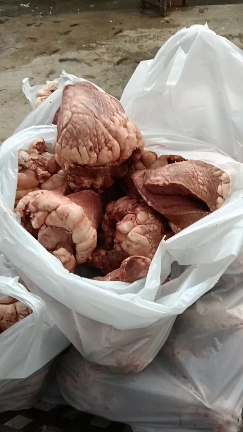 博爱县牛副产品-牛头保质保量一手货源量大优惠欢迎咨询