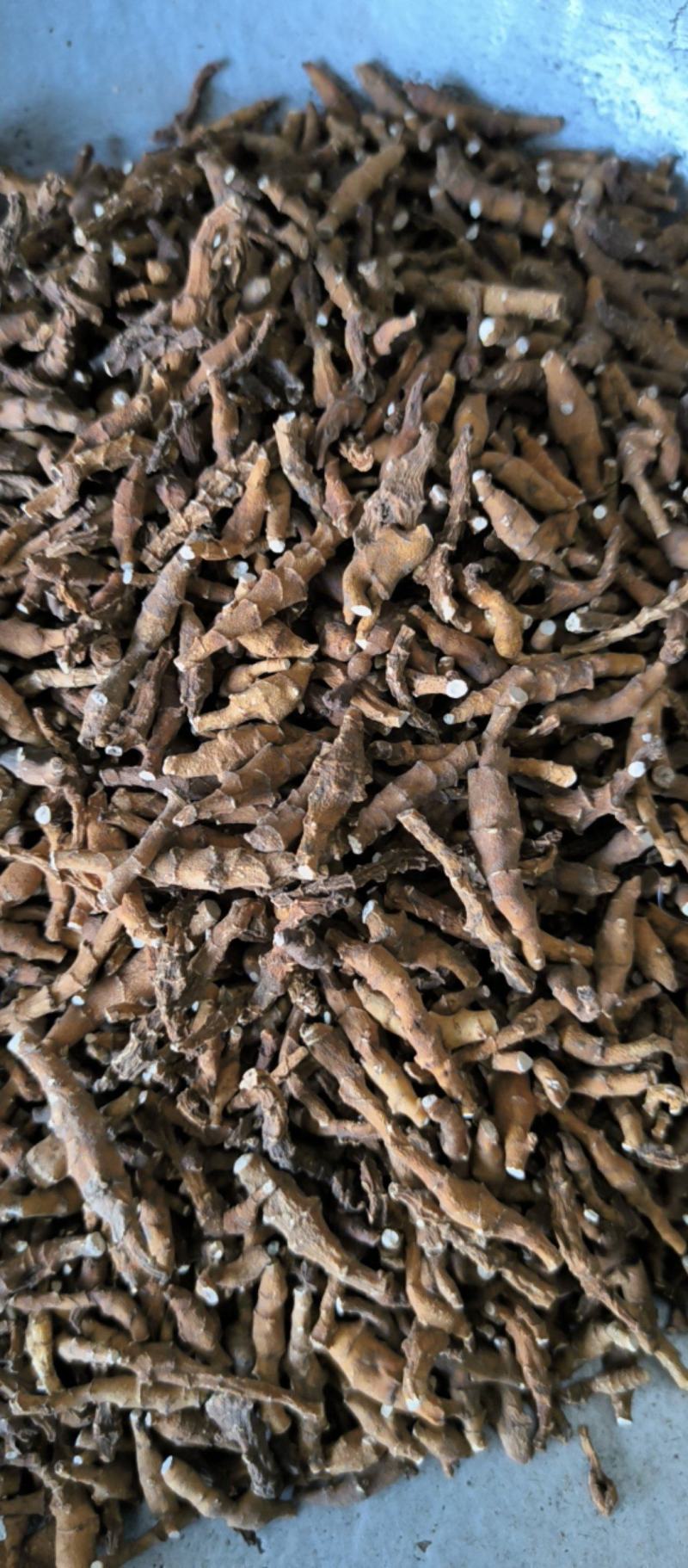 九节菖蒲节菖蒲中药材批发九节菖蒲质量保证