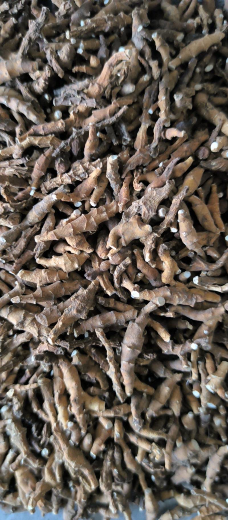 九节菖蒲节菖蒲中药材批发九节菖蒲质量保证