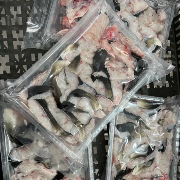 新鲜鳗鱼肉片手工切片河鳗肉鲜活现杀乌耳鳗鱼爆炒火锅食材