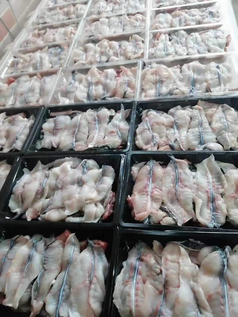 新鲜鳗鱼肉片手工切片河鳗肉鲜活现杀乌耳鳗鱼爆炒火锅食材