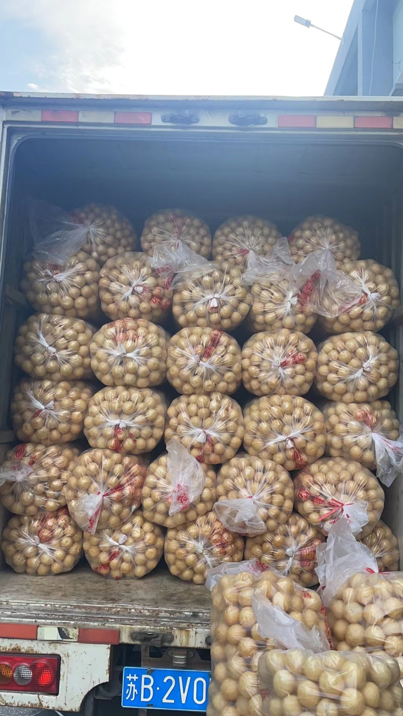 油面筋江苏油面筋串串香麻辣烫火锅油面筋批发优惠！