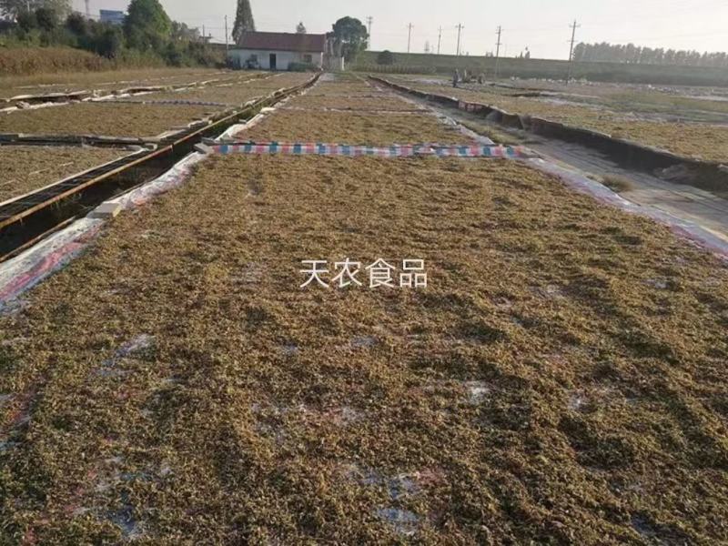 梅干菜