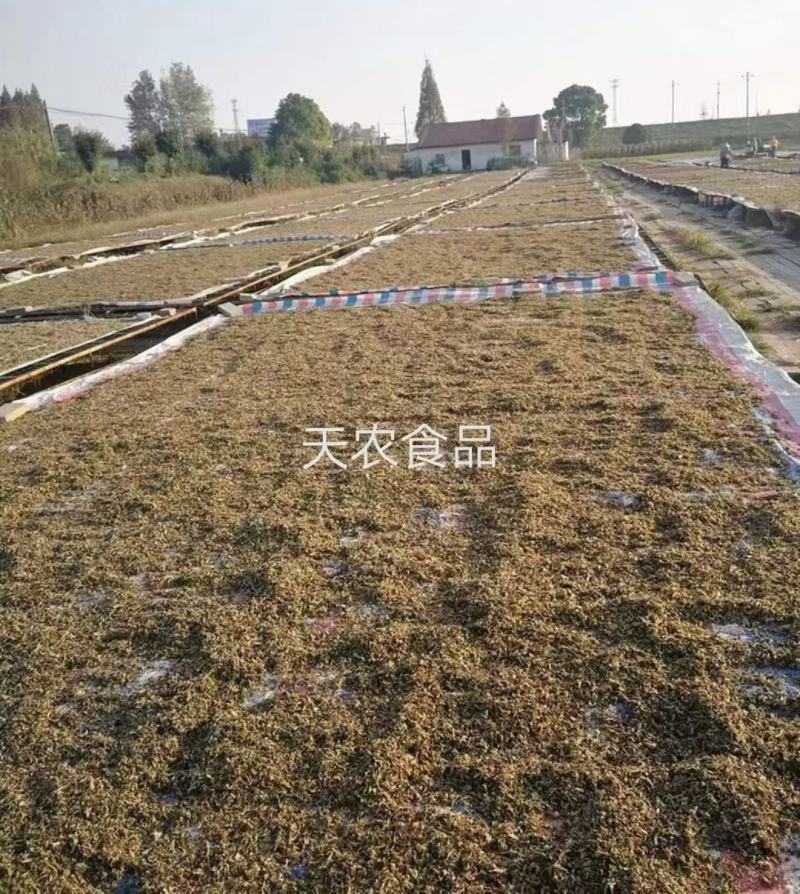 梅干菜