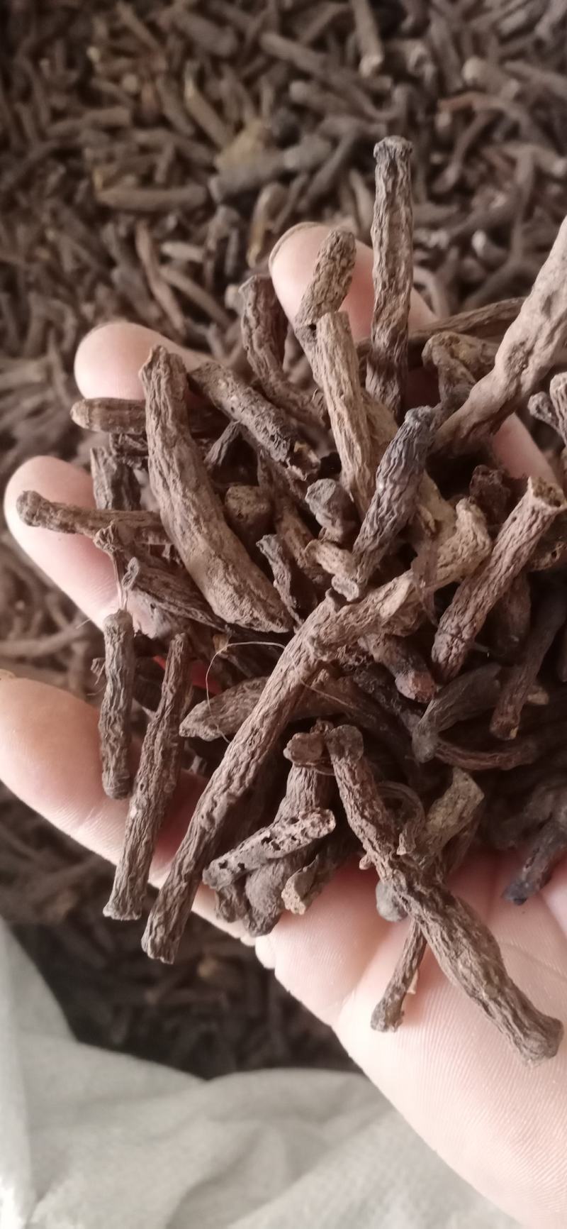 【仙茅】无硫产地云南自销一手货源大货供应规格齐全量大优