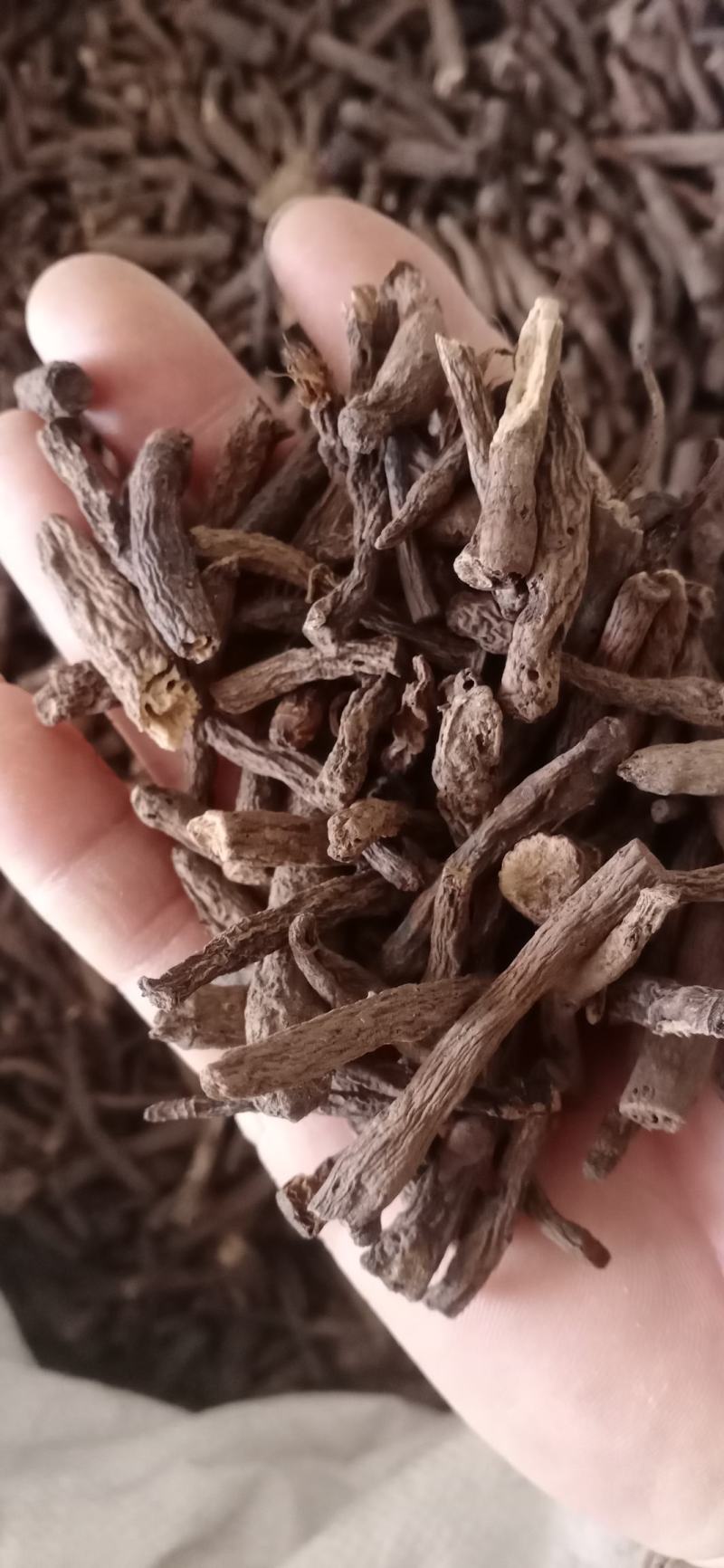 【仙茅】无硫产地云南自销一手货源大货供应规格齐全量大优