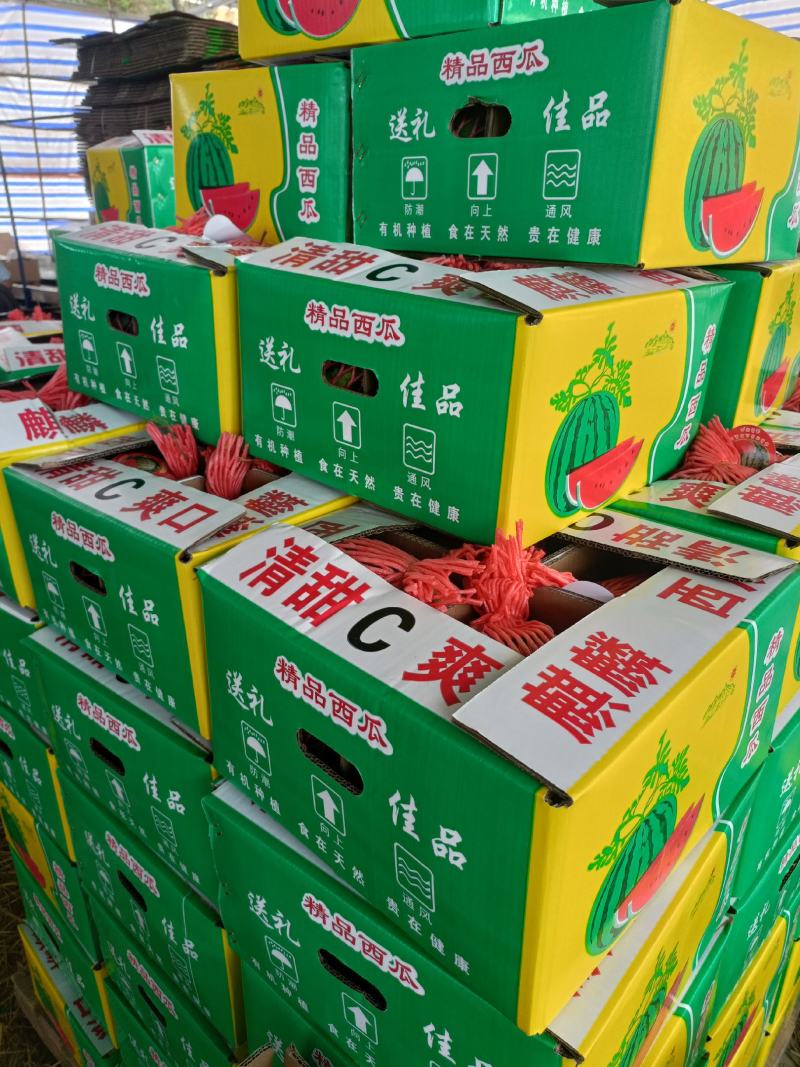 花皮有籽6斤打底8成熟1茬