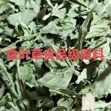 【牛商推荐】食品级食叶草原料可视频看货一次合作终身朋友