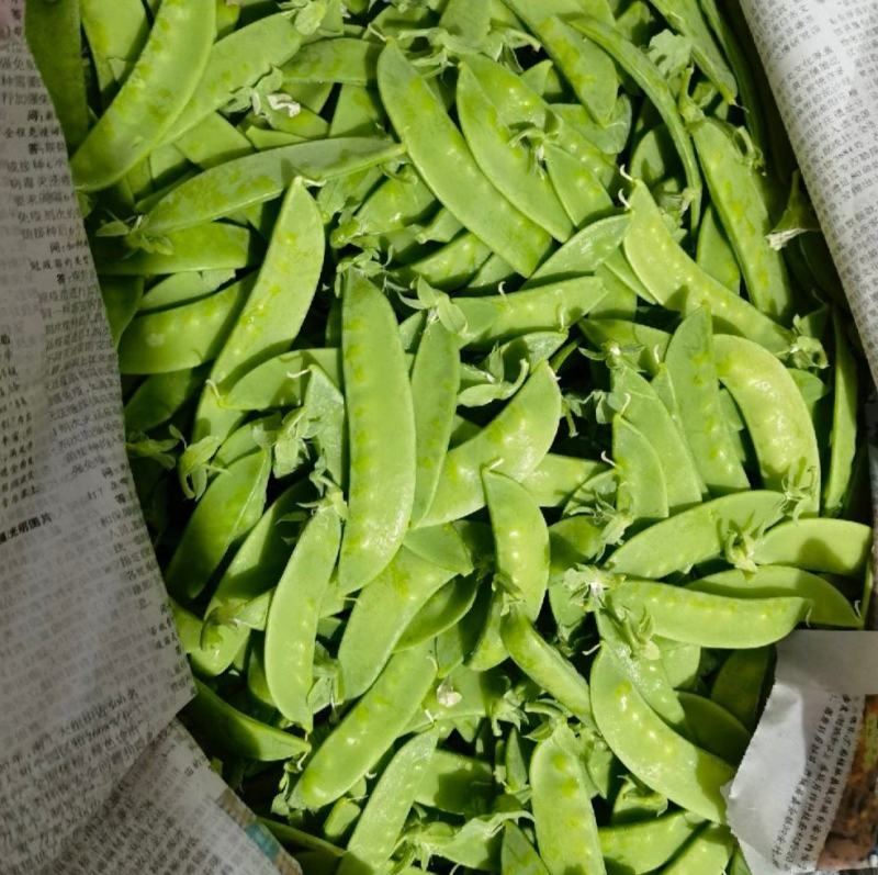 荷兰豆，豌豆荚，菜豌豆，皮薄脆嫩，产地直供。