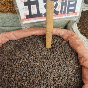 中药材五灵脂保证质量批发零售货源充足