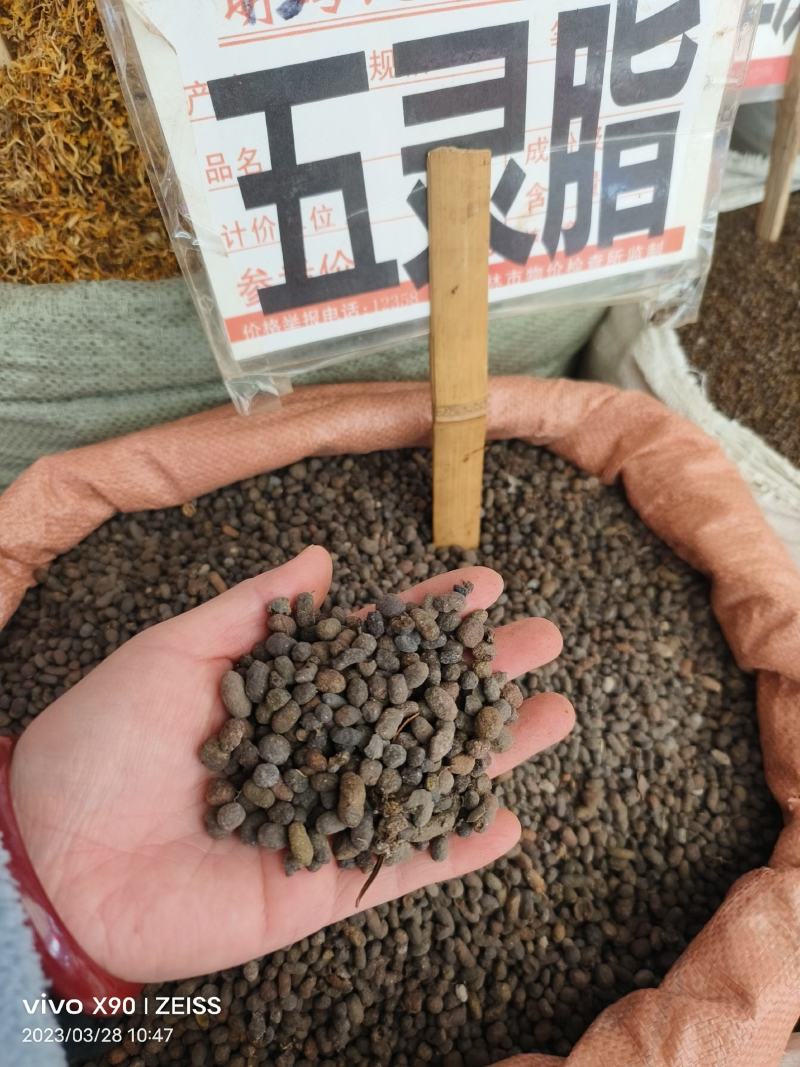 中药材五灵脂保证质量批发零售货源充足
