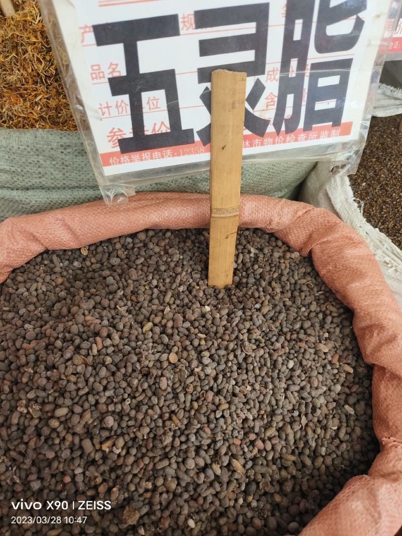 中药材五灵脂保证质量批发零售货源充足