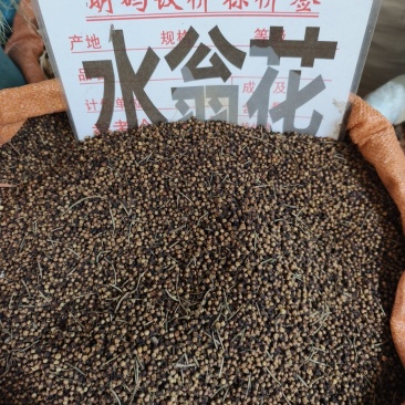 中药材水翁花货源充足保证质量批发零售