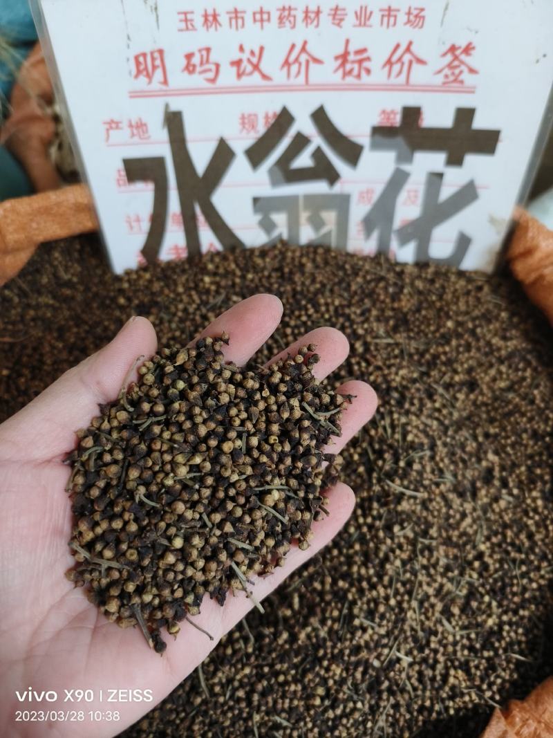 中药材水翁花货源充足保证质量批发零售