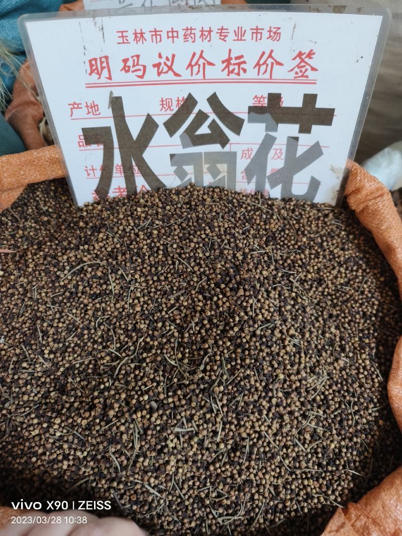 中药材水翁花货源充足保证质量批发零售
