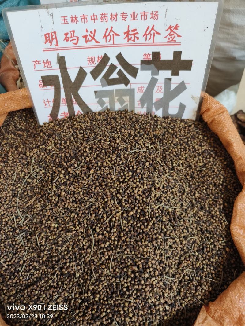 中药材水翁花货源充足保证质量批发零售