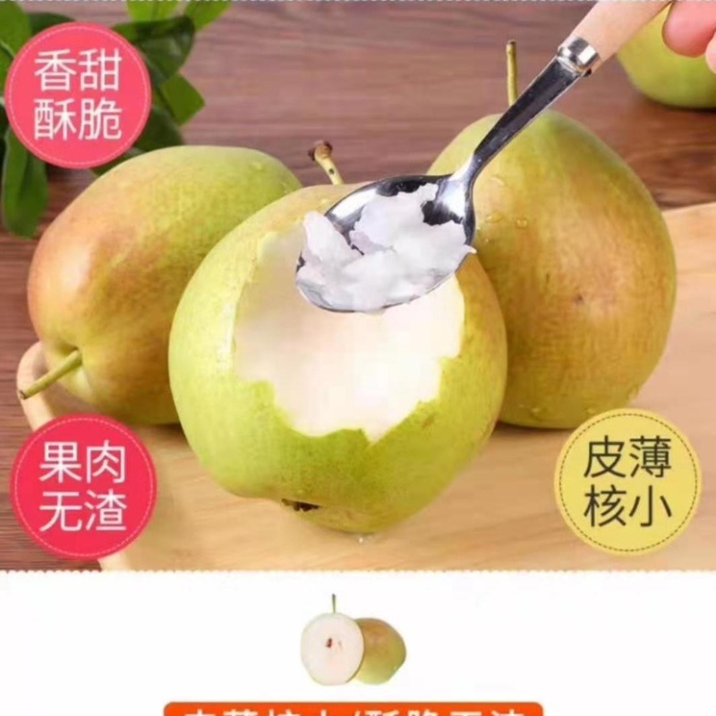 新梨七号产地直销口感脆甜货源充足一手货源质量有保证