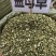 中药材益母草新货货源充足保证质量批发零售