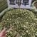 中药材益母草新货货源充足保证质量批发零售