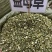 中药材益母草新货货源充足保证质量批发零售