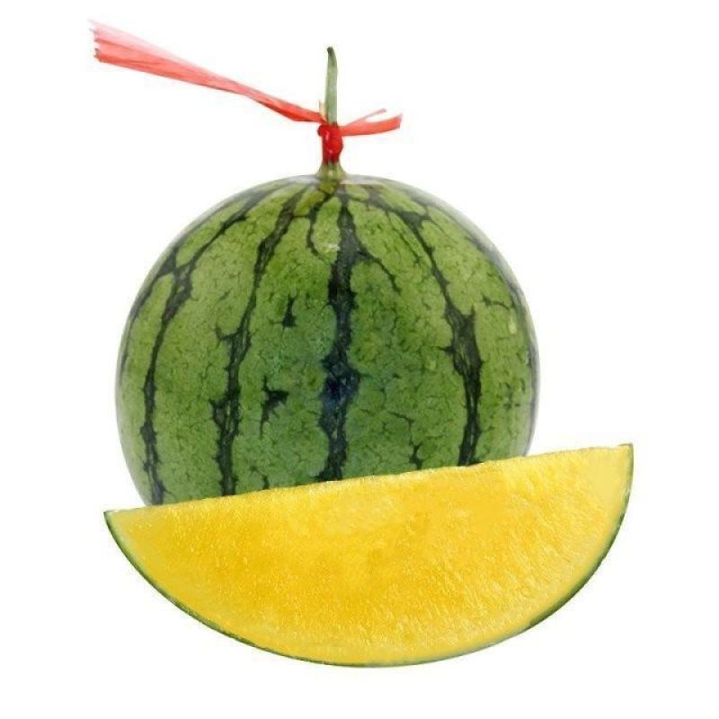 江苏精品特小凤西瓜大量上市中量大质优欢迎致电
