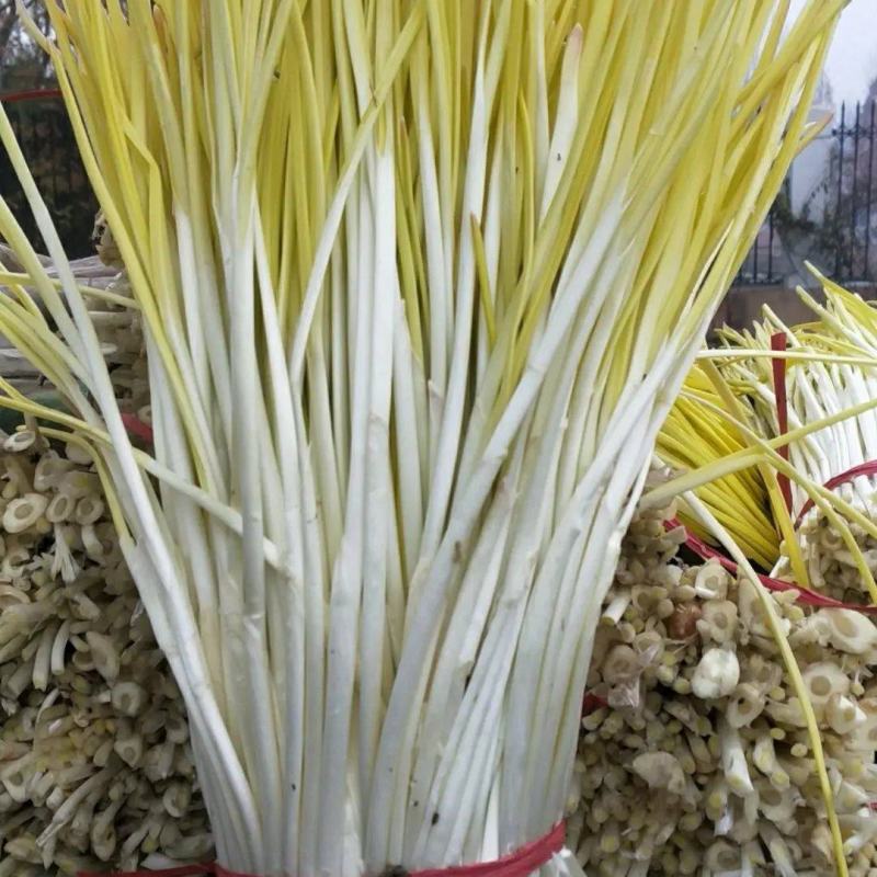【牛商推荐】精品蒜黄，山东蒜黄，价格优惠，对接大型批发商