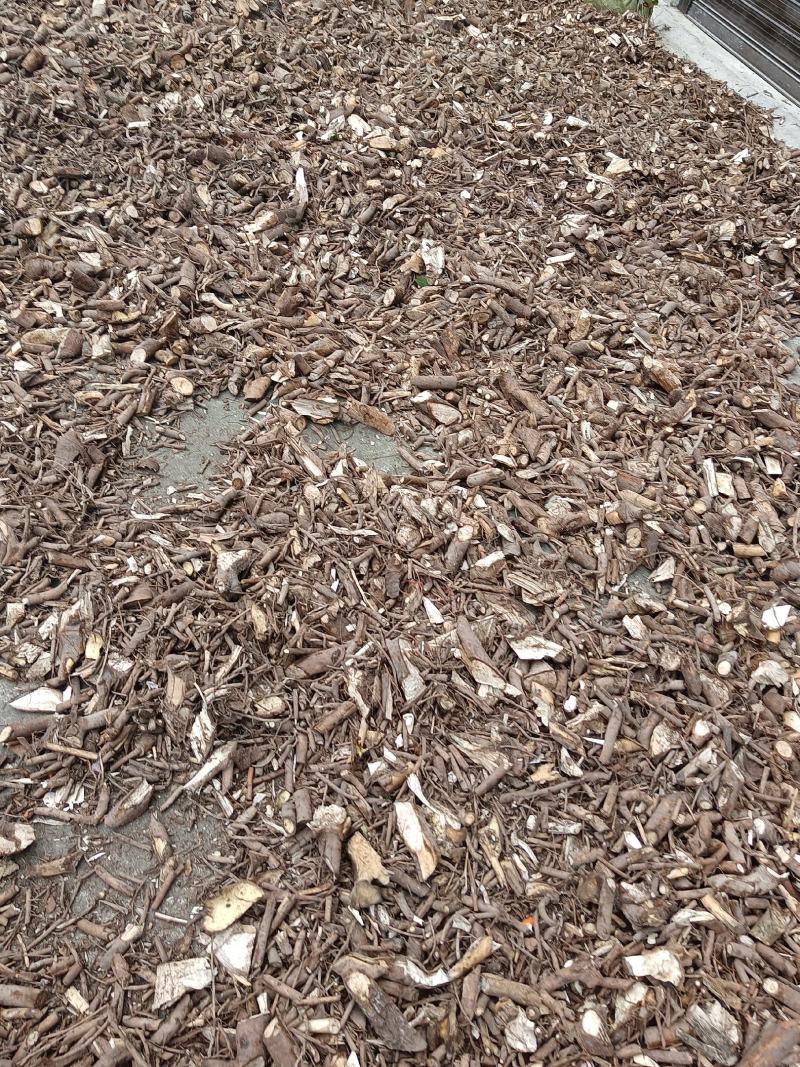穗序鹅掌柴根大通塔、柴厚朴、野巴戟、隔子通、万贯钱、豆豉
