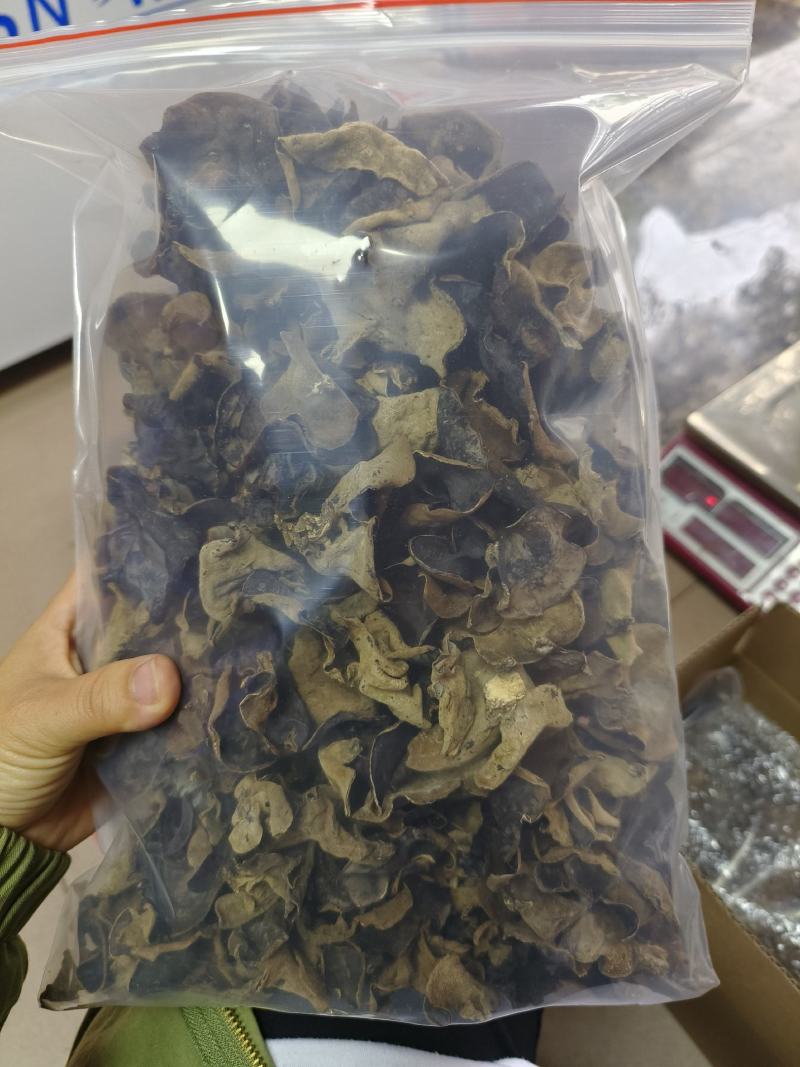 粤北特产木耳，一件代发微商代理